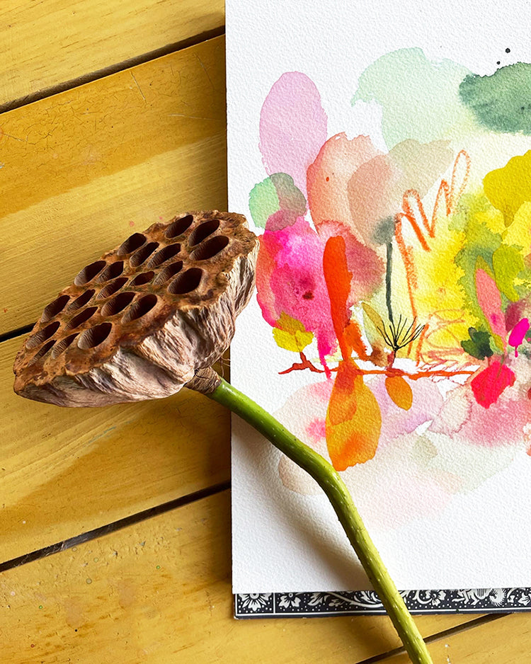 LOTUS POND ORIGINAL