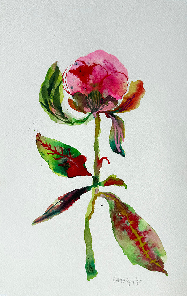 PEONY #2 ORIGINAL