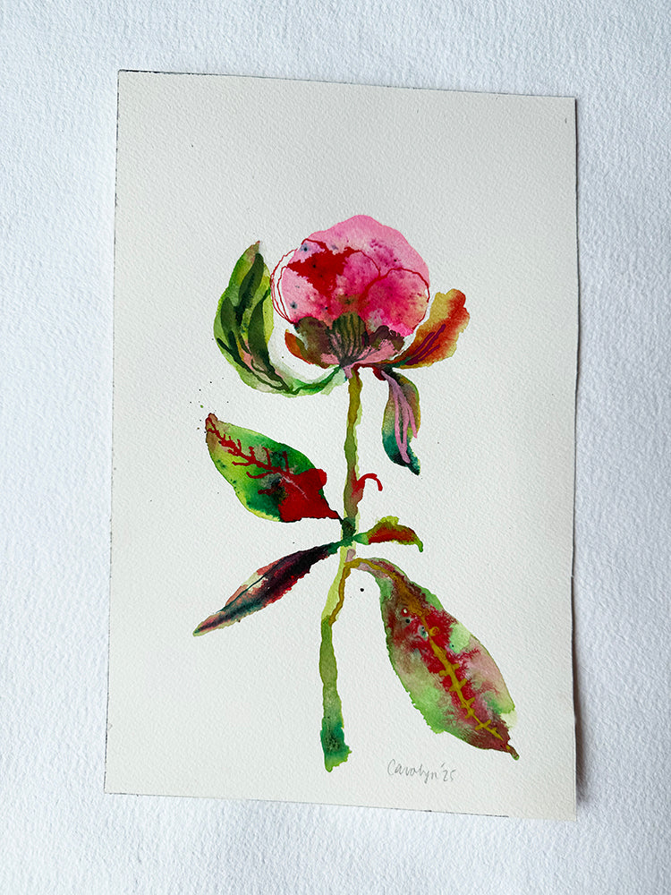 PEONY #2 ORIGINAL