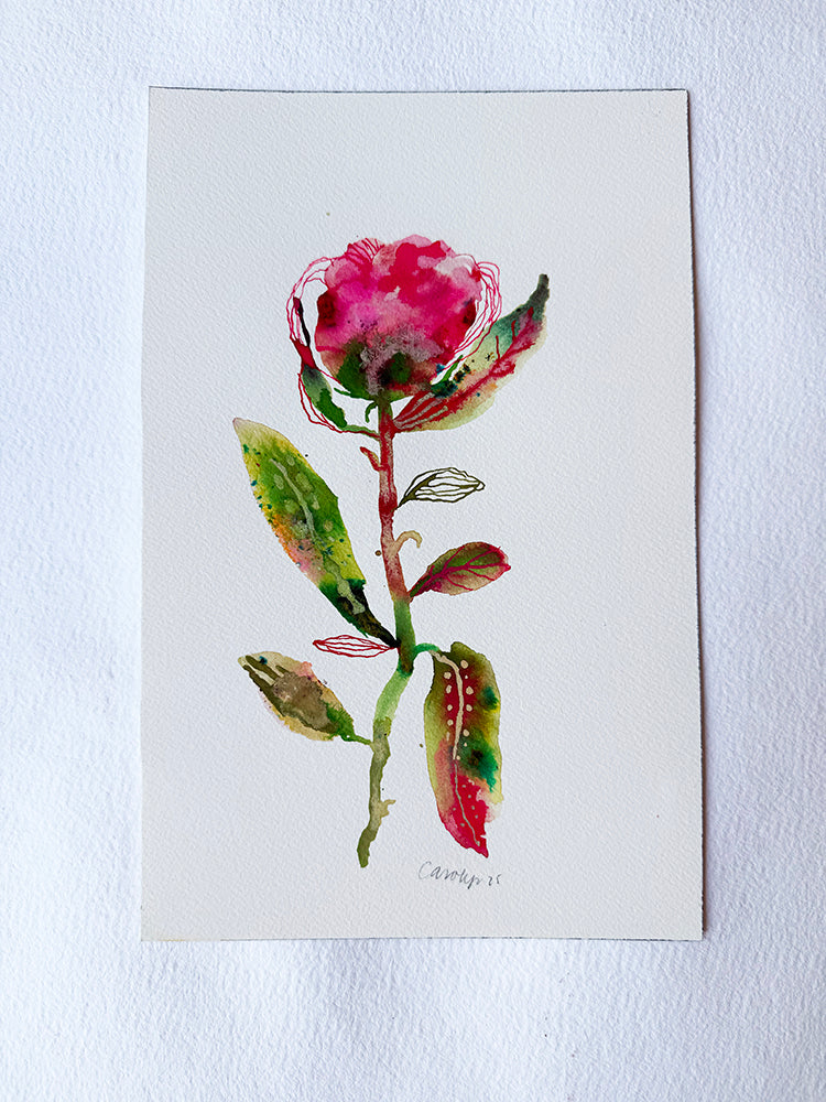 PEONY #3 ORIGINAL