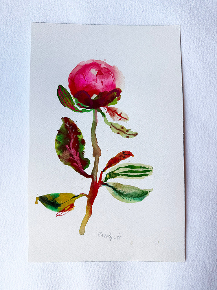 PEONY #1 ORIGINAL