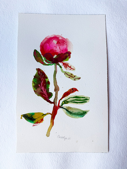PEONY #1 ORIGINAL