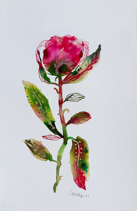 PEONY #3 ORIGINAL