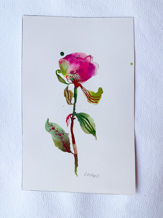 PEONY #4 ORIGINAL