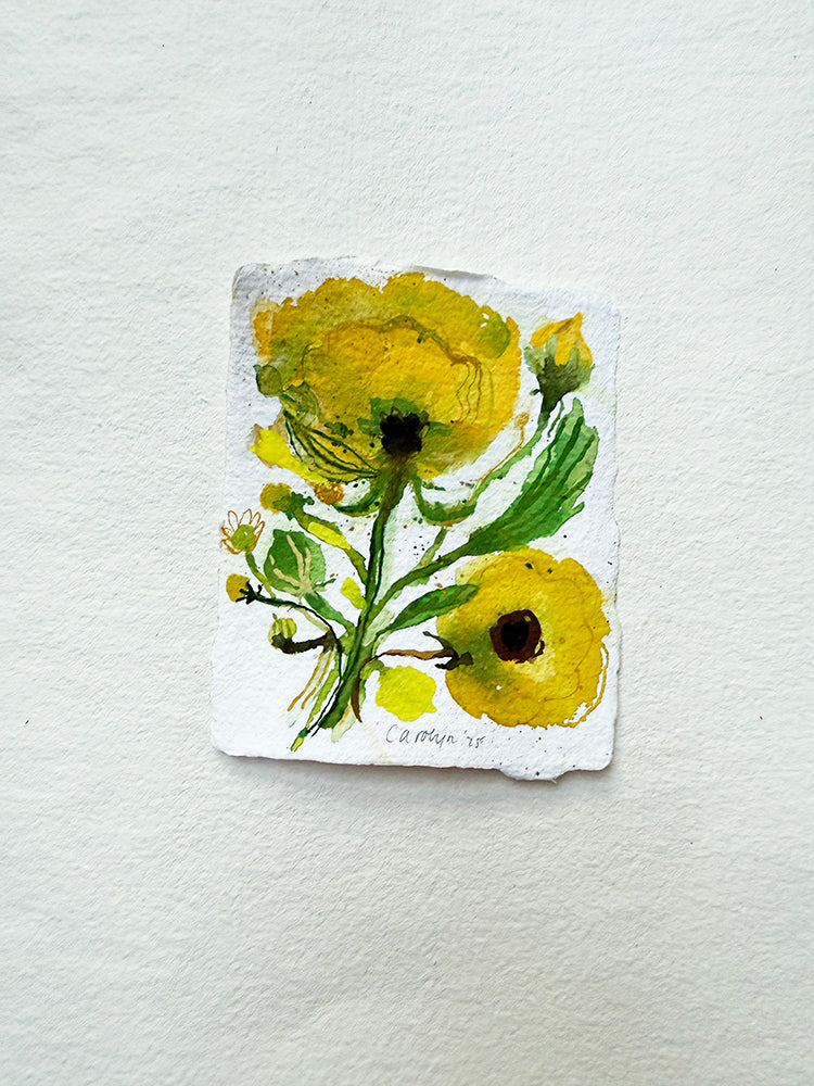 BOTANICAL MINI's set of 4 ORIGINALS