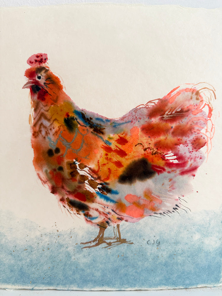BLUE  LACED RED WYANDOTTE ORIGINAL