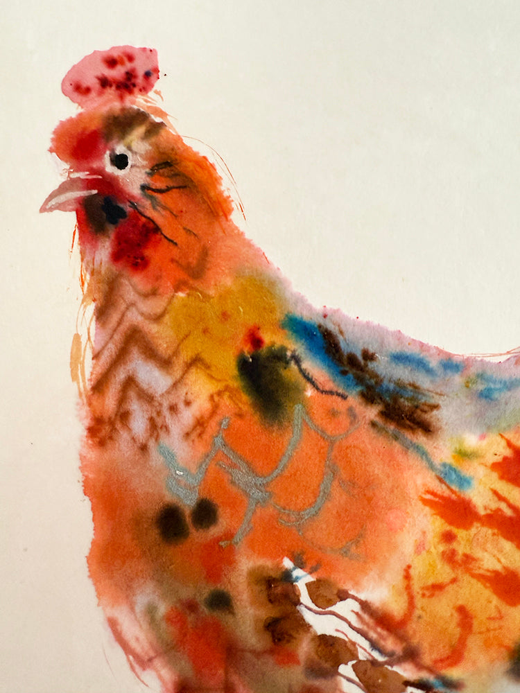 BLUE  LACED RED WYANDOTTE ORIGINAL